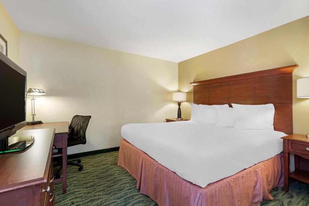 King Suite with Sofa Bed interior